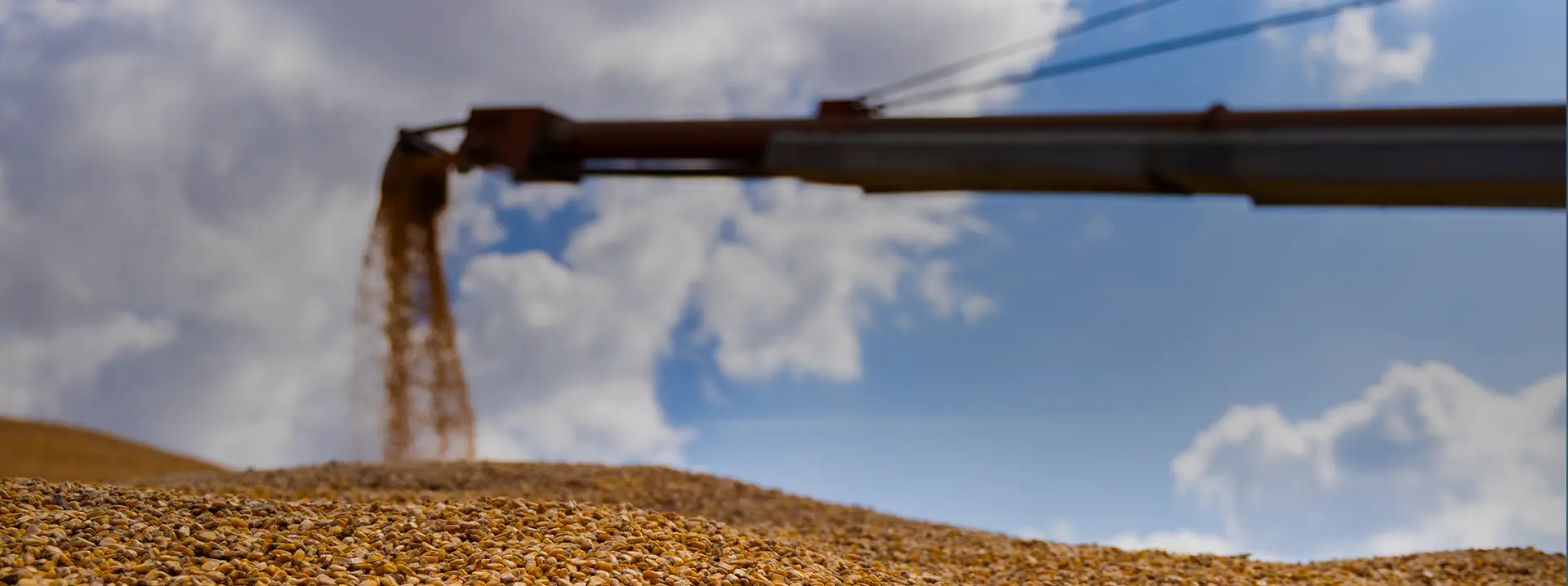 Grain being loaded at a GrainCo Storage depot