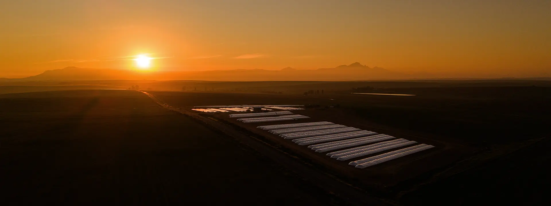 GrainCo Storage depot at sunset