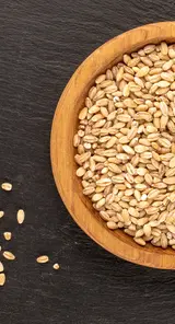 Barley